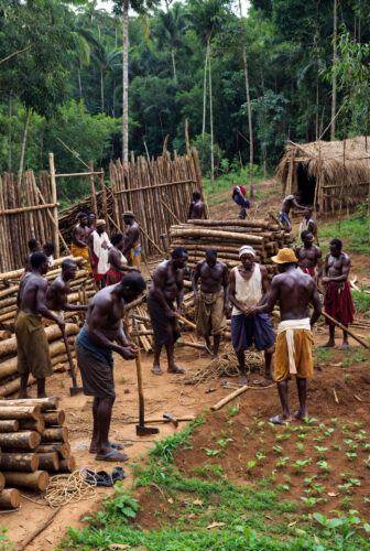 November 20 – Echoes of Defiance – Zumbi’s Unbreakable Stand and Timeless Sparks for Personal Resilience